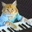 KEYCAT图标